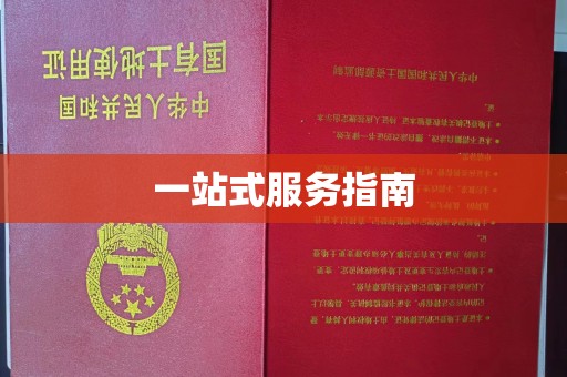 松阳一站式服务指南