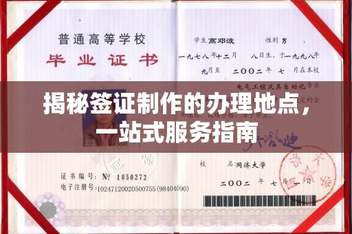 松阳揭秘签证制作的办理地点，一站式服务指南