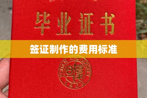 松阳签证制作的费用标准