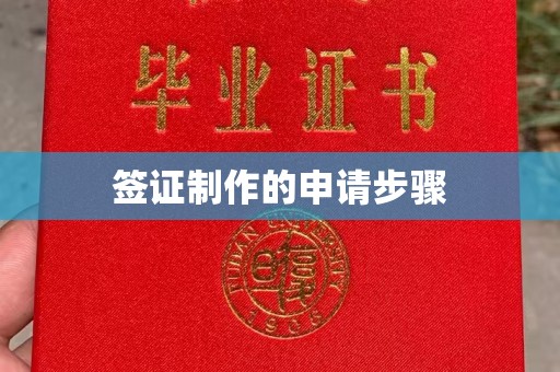 松阳签证制作的申请步骤