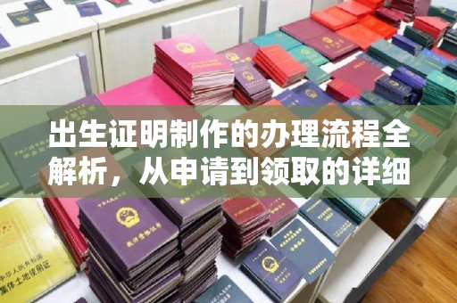 松阳出生证明制作的办理流程全解析，从申请到领取的详细指南
