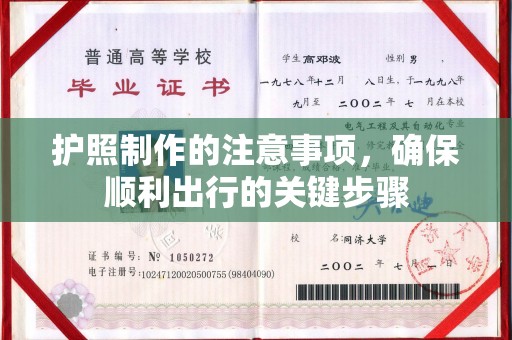 松阳护照制作的注意事项，确保顺利出行的关键步骤