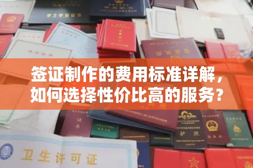 松阳签证制作的费用标准详解，如何选择性价比高的服务？