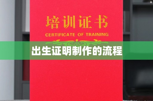 松阳出生证明制作的流程