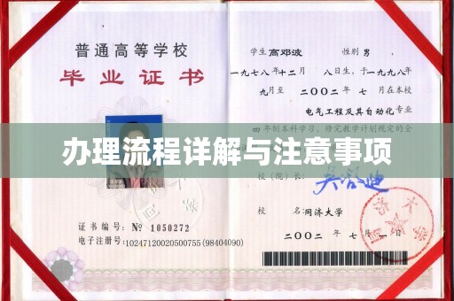 松阳办理流程详解与注意事项