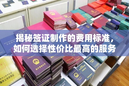 松阳揭秘签证制作的费用标准，如何选择性价比最高的服务？